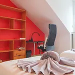 Terracotta Duplex, 8 Guest, Garage Included * ミュルーズ