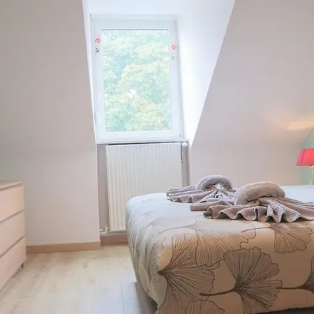 Terracotta Duplex, 8 Guest, Garage Included Appartement Mulhouse