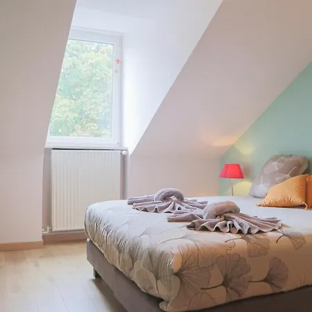 Terracotta Duplex, 8 Guest, Garage Included * Mulhouse