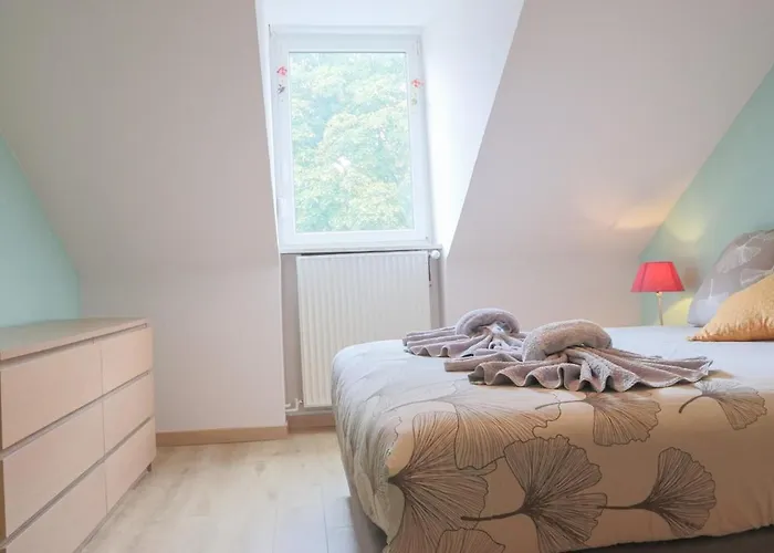 Terracotta Duplex, 8 Guest, Garage Included Appartement Mulhouse