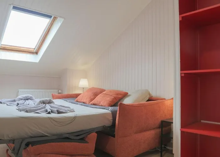 Apartment Terracotta Duplex, 8 Guest, Garage Included Mulhouse