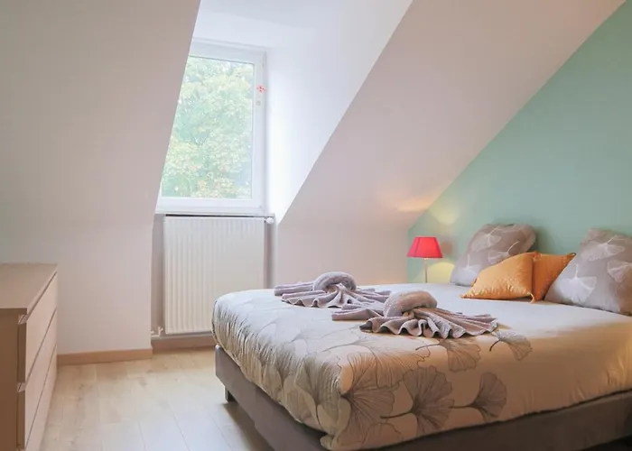 Terracotta Duplex, 8 Guest, Garage Included * Mulhouse